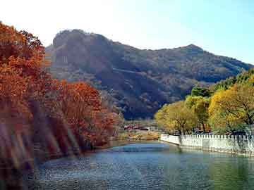 新澳天天开奖资料大全旅游团，液化气燃烧机